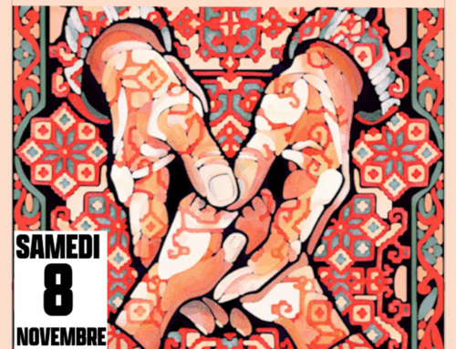 Solidarité avec la Palestine : 8 novembre